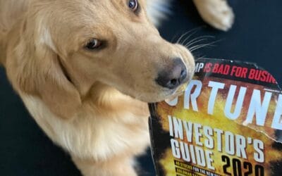 Here’s Lookin’ at You, Dog